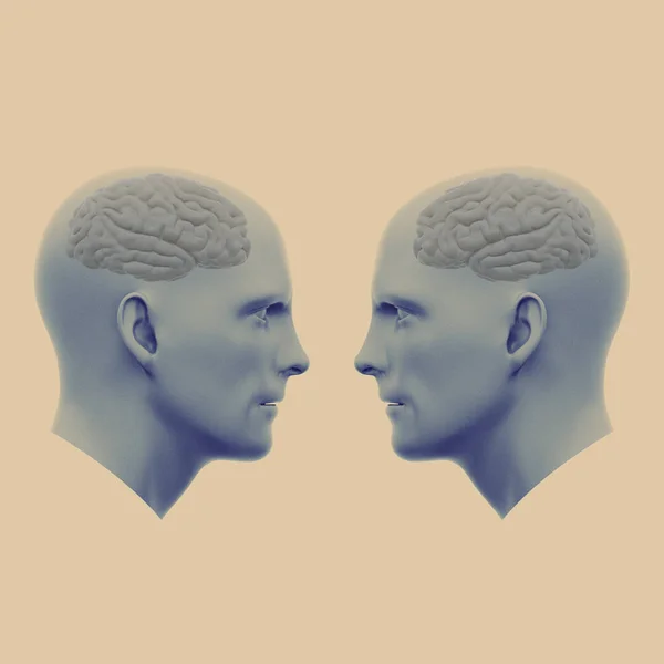 Dvě mužské hlavy s mozky namířenými na sebe — Stock fotografie