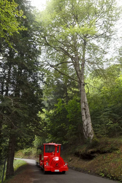 Trem turístico vermelho — Fotografia de Stock