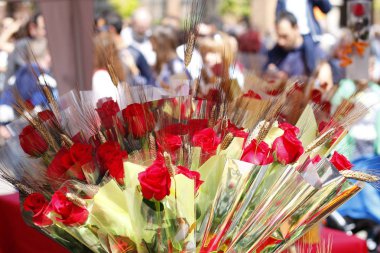 Sant Jordi gün içinde gül