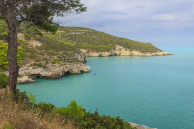 Apulia sahili. Gargano Milli Parkı: Baia di Campi plajı,Vieste-İtalya-Mesafe kaben tarafından deniz mağaraları ziyaret banyo yapanlar.
