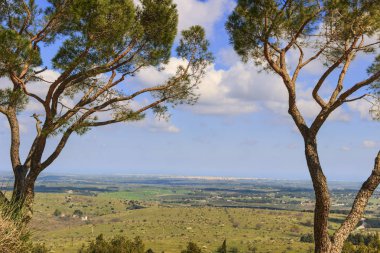 Alta Murgia Milli Parkı: panoramik görünümü. -(Apulia) İtalya-tepelik Bahar: Castel del Monte; dan Murgia Yaylası Panoraması arka plan Andria şehir ve Barletta.