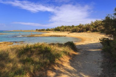 Akdeniz maki: yol boyunca kumlu koyları bağlanma yemişli gölgesinde cliff ile doğal yolu.