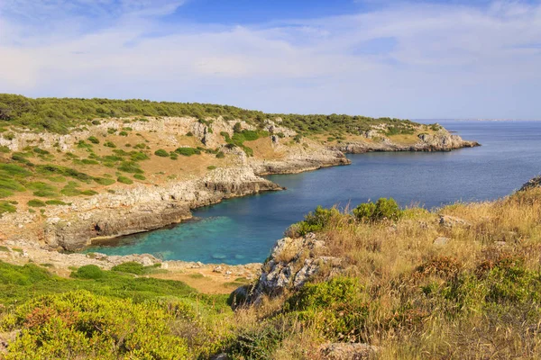 Mediterrane Macchia. salento küste: die bucht von uluzzo; es handelt sich um eine kleine natürliche bucht, die sich innerhalb des geschützten bereichs porto selvaggio befindet. (lecce) .italien (apulia) .im Hintergrund die Stadt Gallipoli. — Stockfoto