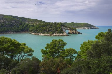  Apulia sahil: panoramik San Felice Bay, Italy.Gargano Milli Parkı: muhteşem semboldür Vieste şehrin küçük taş kemer (Architello).