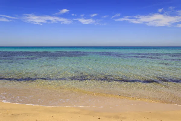 Het regionale natuurpark Dune Costiere,(Apulia) Italië. Zee horizon: weergave van een zandstrand. — Stockfoto