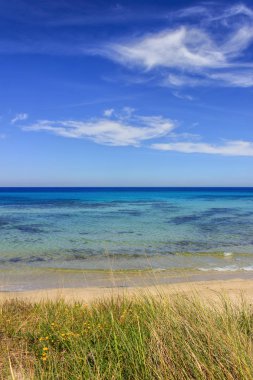 Bölge doğal parkı Dune Costiere,(Apulia) İtalya.