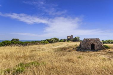 : Salento manzara. Trullo ev: arka plan Uluzzo gözetleme kulesi içinde. Apulia, İtalya.