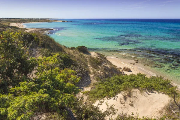 Summer beach.Torre Guaceto Nature Reserve: panoramic view of the coast from the dunes.Italy (Apulia).