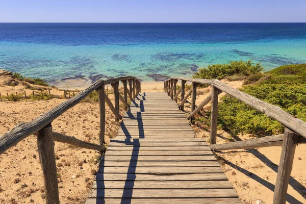 De mooiste stranden van Italië. Campomarino Duin park: hek tussen kustduinen, Tarente (Apulië). — Stockfoto