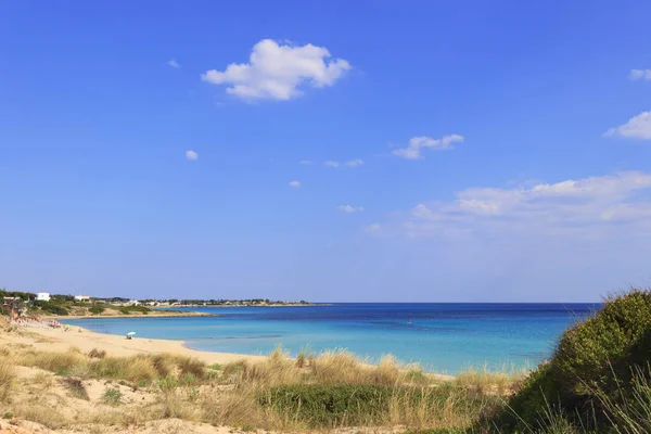 Itálie letní mořskou krajinu, Apulia pobřeží: pláž Marina di Lizzano (Taranto). V popředí do dun se svěžími středomořskými křovinami. — Stock fotografie