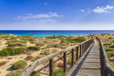 İtalya'nın en güzel plajlarından. Campomarino dune park: çit arasında deniz dunes, Taranto (Apulia).
