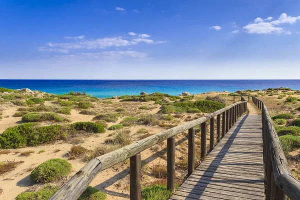 De mooiste stranden van Italië. Campomarino Duin park: hek tussen kustduinen, Tarente (Apulië). — Stockfoto