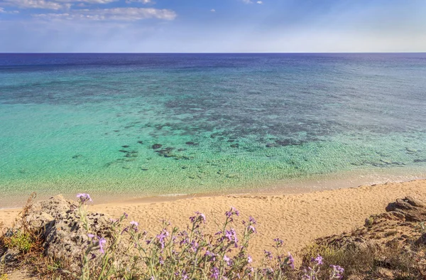 As praias mais bonitas da Itália: Parque de dunas Campomarino. Verão relaxar: guarda-chuva isolado entre dunas do mar, Taranto (Apúlia). A área protegida estende-se ao longo de toda a costa da cidade de Maruggio . — Fotografia de Stock