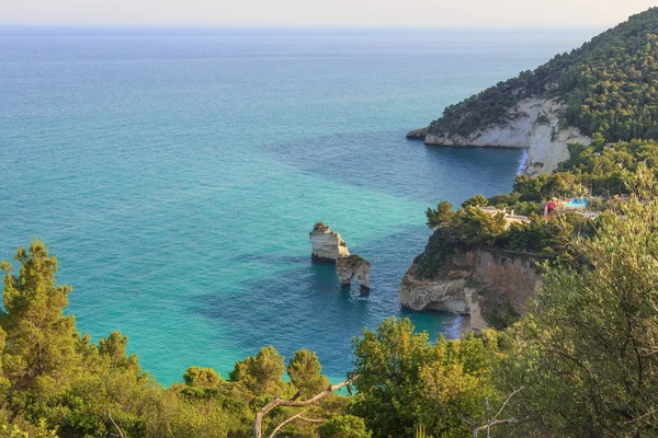 The most beautiful coasts of Italy: Baia dei Mergoli beach or Zagare Bay (Apulia) .The beaches offer a breathtaking view with brigthly white karstic cliffs, emerald-blue sea, lush greenery of olive-trees, pine-woods . — стоковое фото