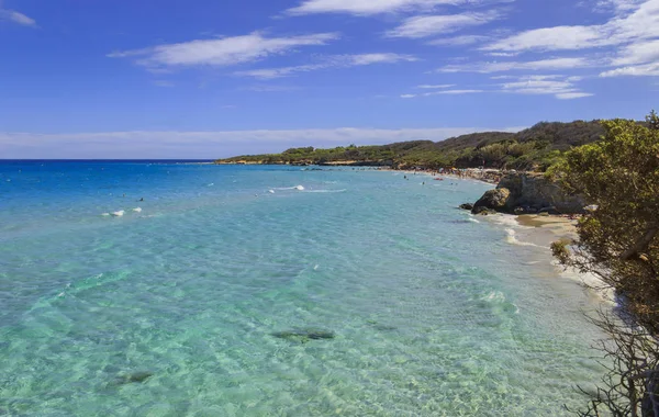 Geschützte Oase der Alimini-Seen: Türkische Bucht (oder Baia dei Turchi). Nur wenige Kilometer nördlich von Otranto ist diese Küste eines der wichtigsten Ökosysteme des Salento und Apuliens (Italien).). — Stockfoto