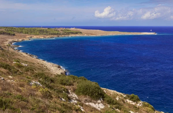 İtalya'nın en güzel kıyıları. Adriyatik Denizi ile: Salento (Apulia): Orte Bay, bir pelerin su o saçak düşük bir uçurum.