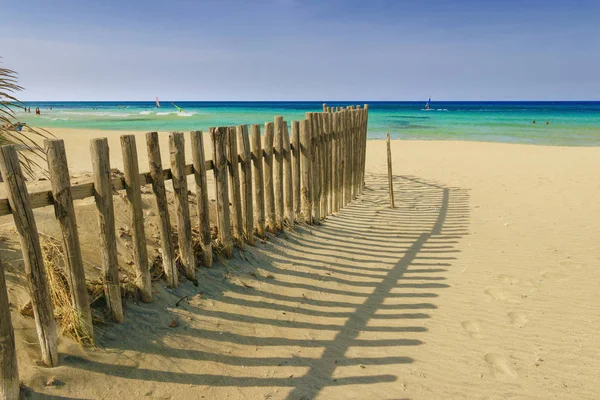 Summertime.The Regional Natural Park Dune Costiere (Torre Canne): fence between sea dunes. (Apulia)-ITALY- The park covers the territories of Ostuni and Fasano along eight kilometers of coastline.