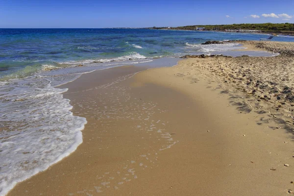 Summertime. Najpiękniejszych piaszczystych plaż w regionie Apulia: rezerwat przyrody 'Le Cesine' (Włochy). To jest podmokły o międzynarodowym znaczeniu: charakterystyczny siedlisk są wydmy, bagna i Scrub maquis. — Zdjęcie stockowe