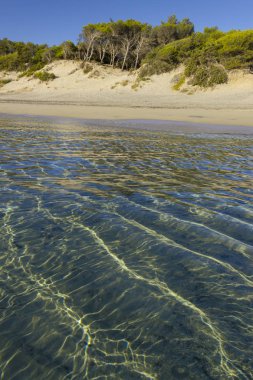 Apulia.Salento kıyılarının en güzel kumsalları: Alimini Beach, İtalya (Lecce). Torre Dell'Orso ve Otranto kumlu kıyı şeridi ile Akdeniz maki kaplı tepeleri ile karakterizedir.