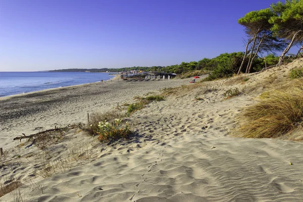 Najpiękniejszych Piaszczystych Plaż Wybrzeżu Apulia Salento Alimini Beach Włochy Lecce — Zdjęcie stockowe