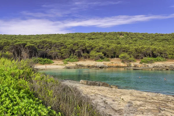 Najlepsza Plaża Apulii Porto Selvaggio Beach Wybrzeże Salento Widok Regionalny — Zdjęcie stockowe
