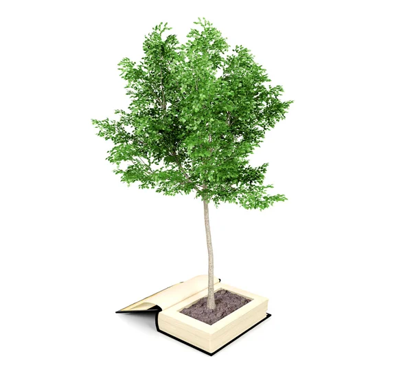 A fa növekvő-a régi könyv. Olvasó képzeletét alakul ki. Tudásalapú növekedés oktatási koncepció — Stock Fotó