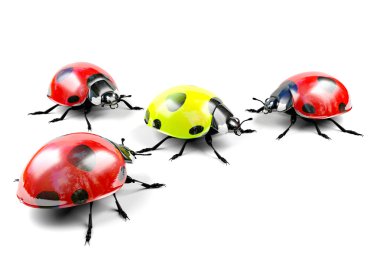 Kırmızı ladybugs arasında sarı uğur böceği