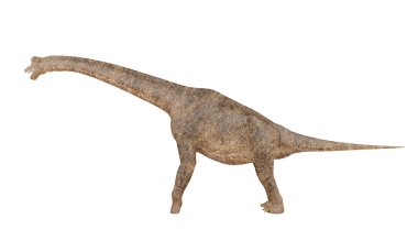 Beyaz arka plan üzerinde 3d render izole Brachiosaurus dinozor