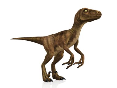 Beyaz arka plan üzerinde izole Velociraptor