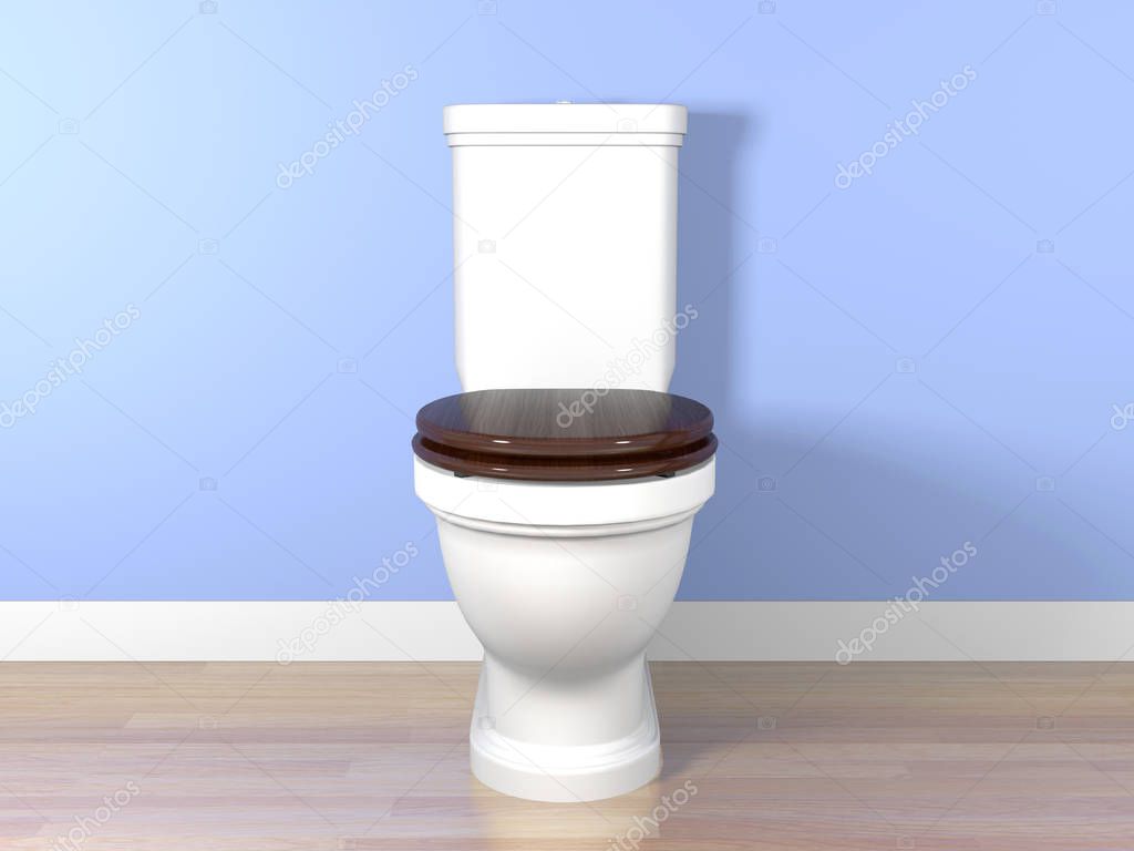 White flush toilet in a bathroom
