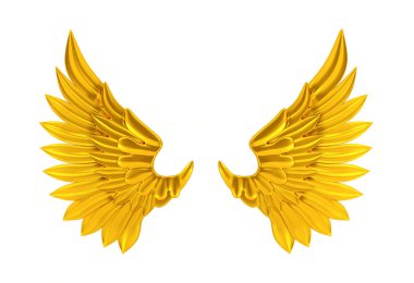 Beyaz arka plan üzerinde izole altın kanat