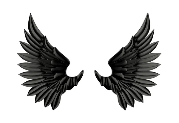 흰색 배경에 고립 된 검은 날개 — 스톡 사진