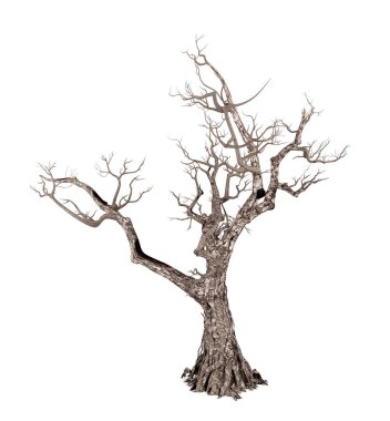 Ölü ağaç beyaz arka plan üzerinde 3d render izole