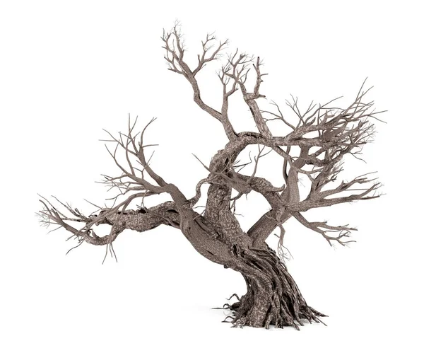 Ölü ağaç beyaz arka plan üzerinde 3d render izole — Stok fotoğraf