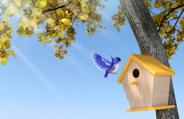 Tiszta Kék Kék Madár Birdhouse Sárga Levelű Alatt Fészkelő Őszi — Stock Fotó