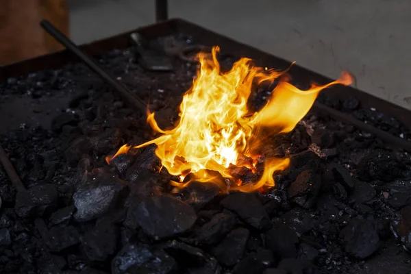 Schmied bereitet das Werkstück vor, das in der Schmiede in Flammen steht — Stockfoto