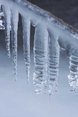 Kışın başlangıcında bir derenin kenarında donmuş bir buz.