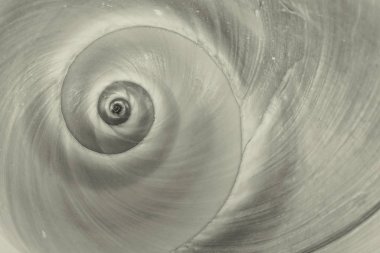 sarmal siyah ve beyaz spiral