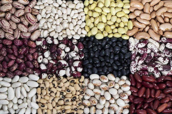Sağlıklı diyet vegan gıdalar, sebze proteinleri kaynakları: farklı türde baklagiller