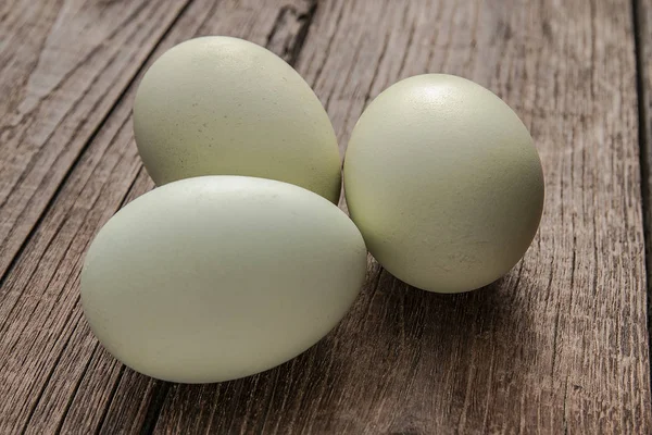 yeşil renkli araucana yumurtaları