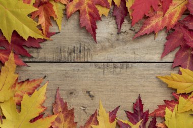 Ahşap arka planda sonbahar yaprakları.