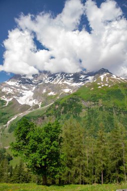 Dağlarda çok güzel bir manzara var. Dağcılar ve yürüyüşçüler için bir patika Alpler 'in zirveleri üzerinde güzel manzaralı..