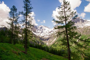 Dağlarda çok güzel bir manzara var. Dağcılar ve yürüyüşçüler için bir patika Alpler 'in zirveleri üzerinde güzel manzaralı..