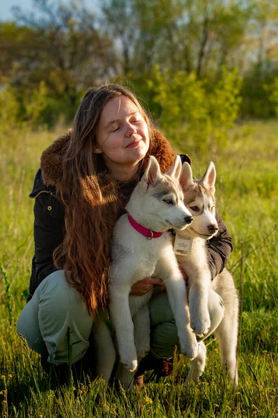Девушка в парке их дом с Husky щенок — стоковое фото