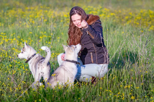 Девушка в парке их дом с Husky щенок — стоковое фото