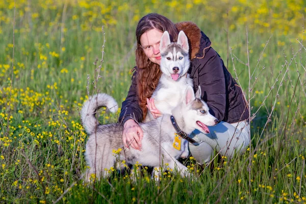 Girl in the park their home with a Husky puppy — 스톡 사진