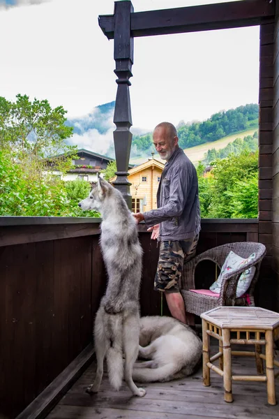 Old man plays with his dog Siberian Husky. Lifestyle. Active recreation. Alpine landscape. — Stock Photo, Image