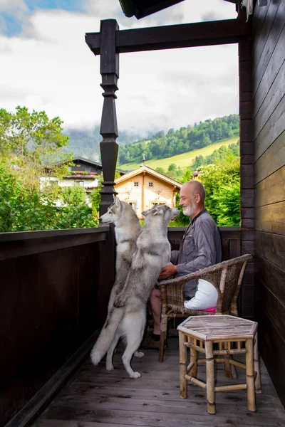 Yaşlı adam köpeği Sibirya Husky ile oynuyor. Yaşam tarzı. Aktif eğlence. Alp manzarası. — Stok fotoğraf
