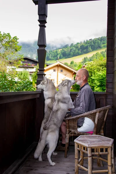 Old man plays with his dog Siberian Husky. Lifestyle. Active recreation. Alpine landscape. — Stock Photo, Image