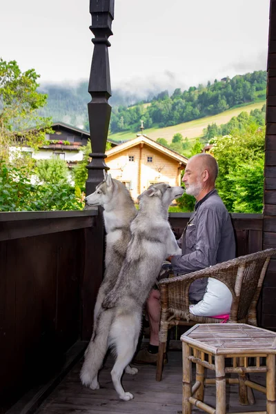 Old man plays with his dog Siberian Husky. Lifestyle. Active recreation. Alpine landscape. — Stock Photo, Image